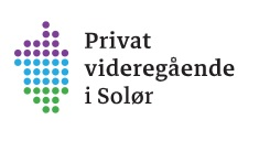Privat VGS i Solør, PVIS